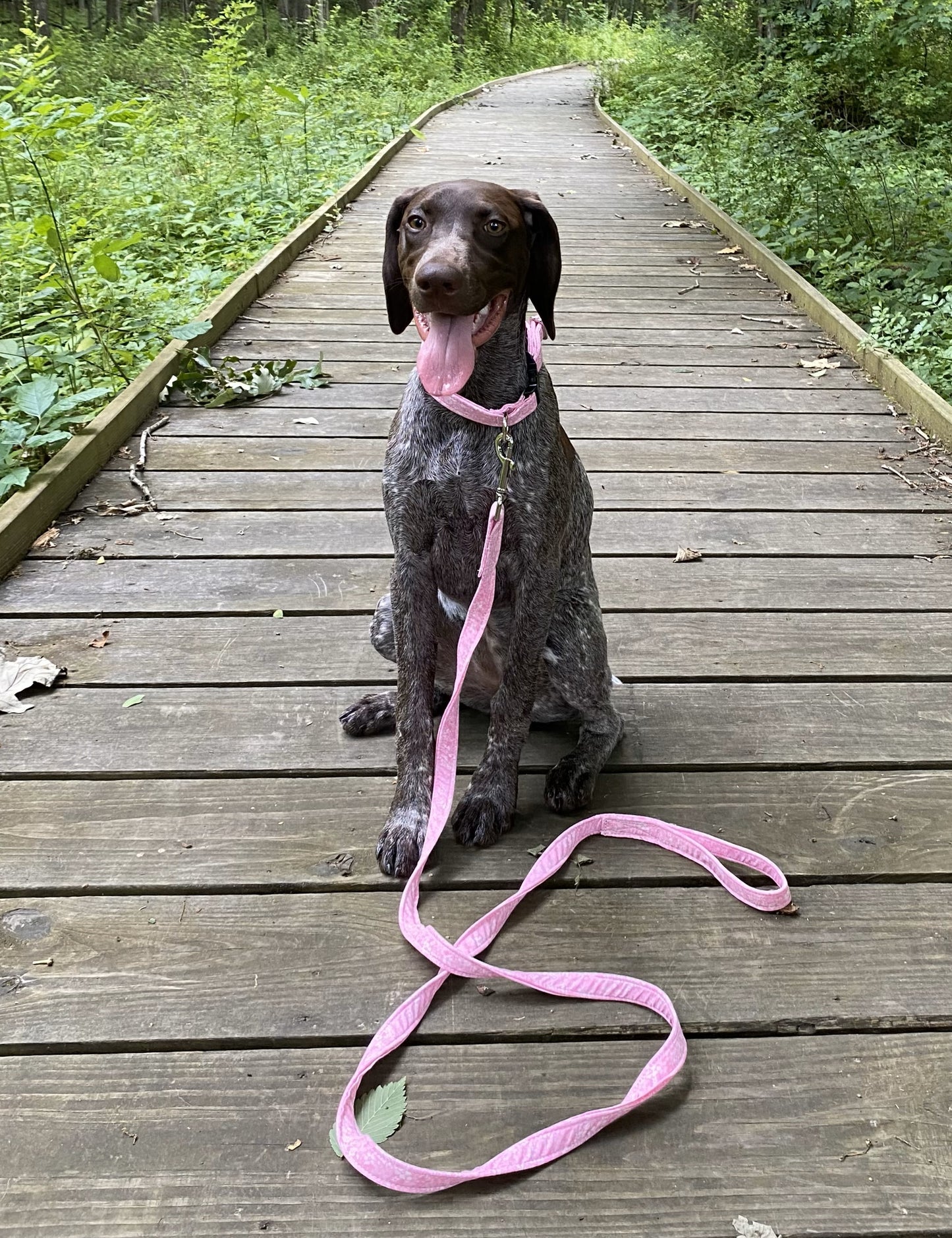 Confetti Floral Leash