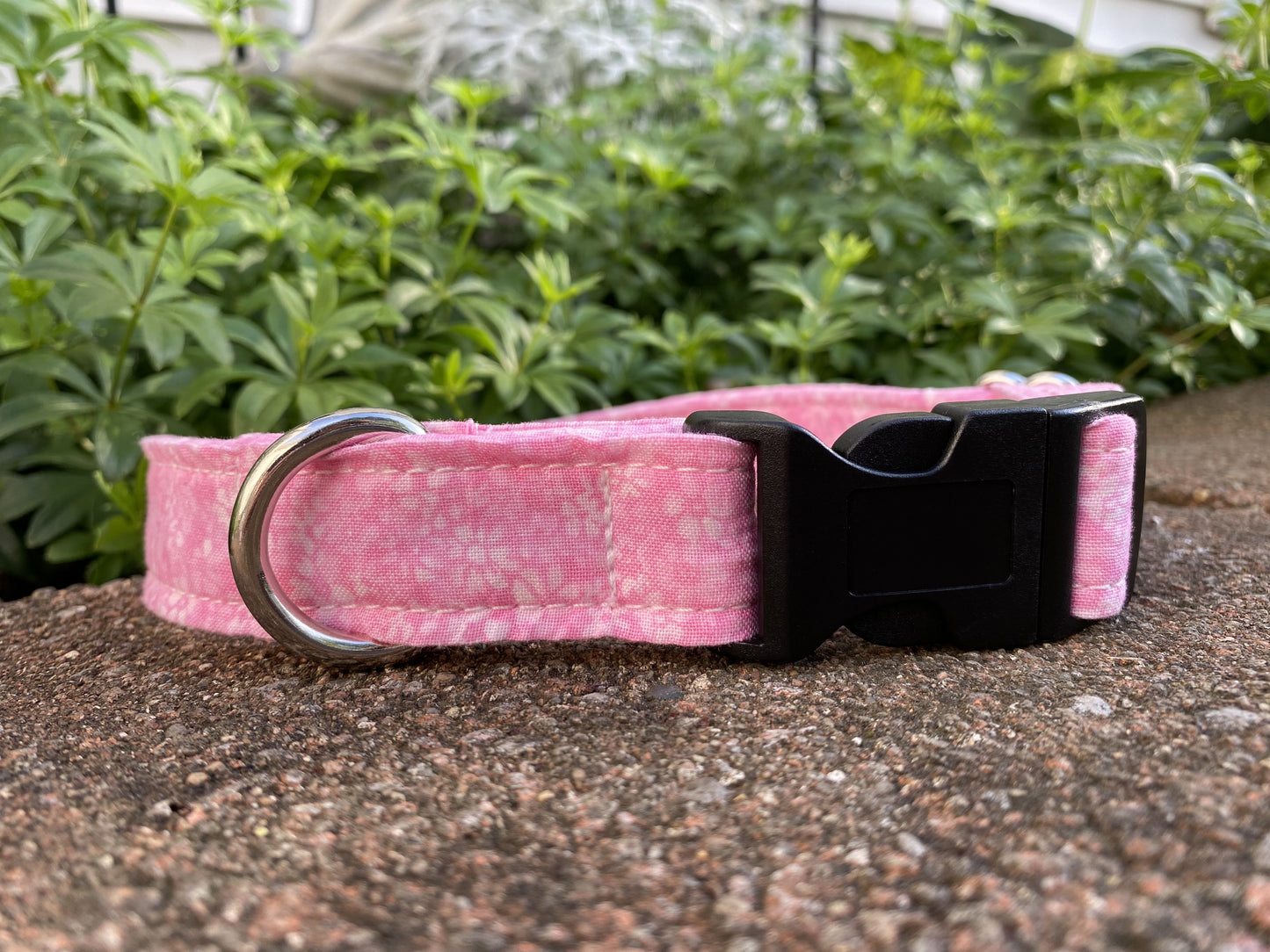 Confetti Floral Dog Collar