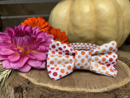 Fall Waters Interchangeable Bow Tie