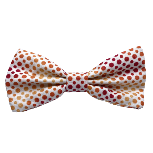 Fall Waters Interchangeable Bow Tie