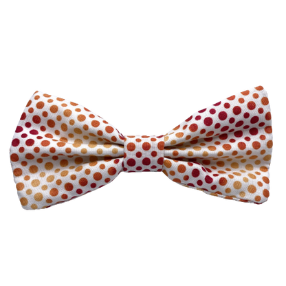 Fall Waters Interchangeable Bow Tie