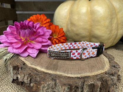 Fall Waters Dog Collar