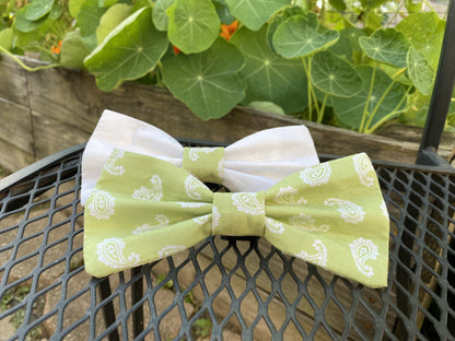 Green Apple Interchangeable Bow Ties