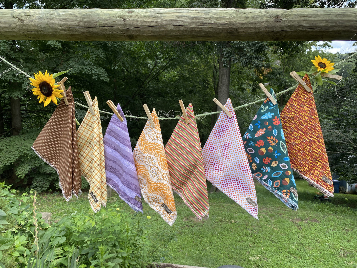 Windy Day Bandana