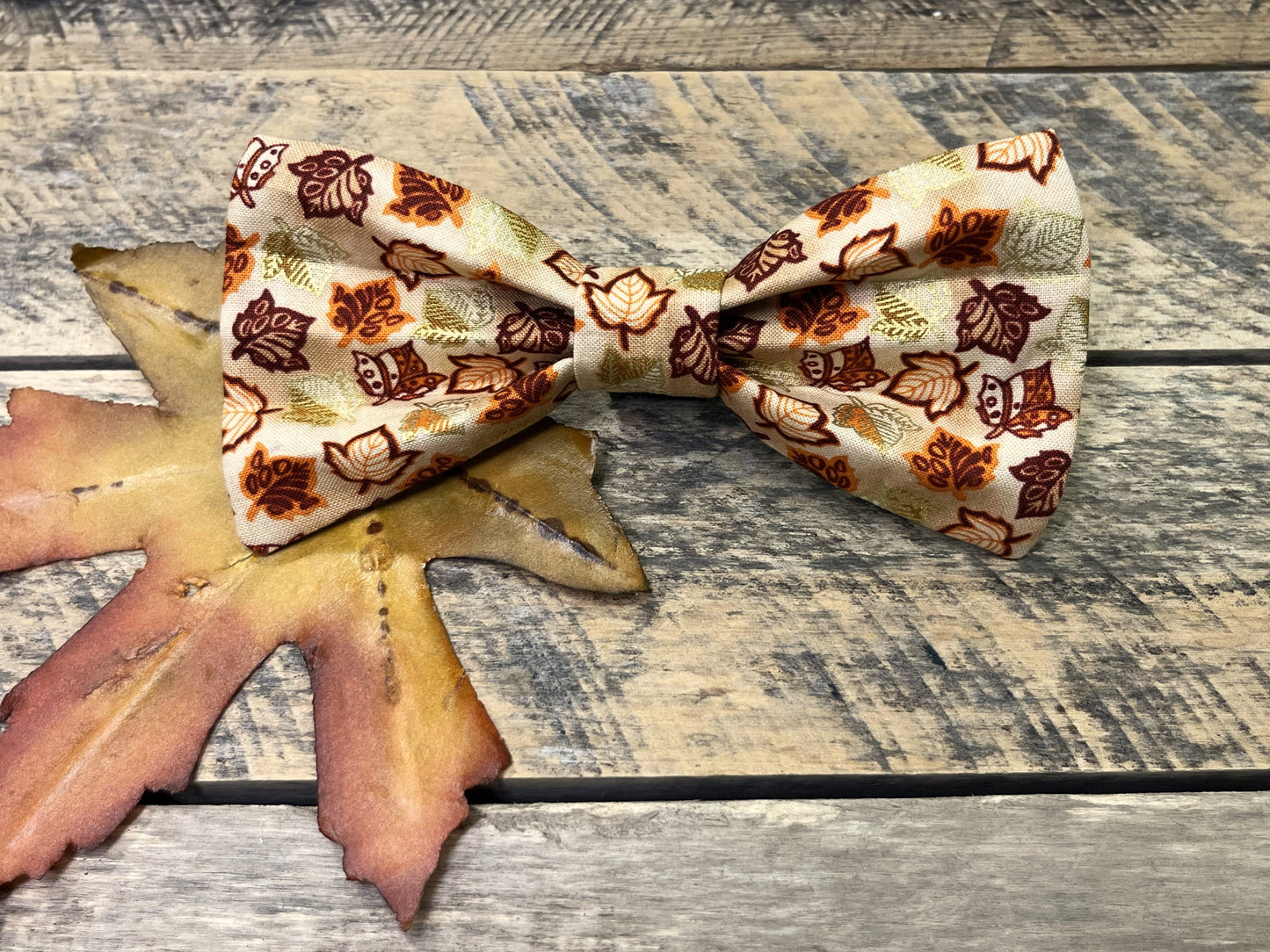 Autumn Leaves Interchangeable Bow Tie