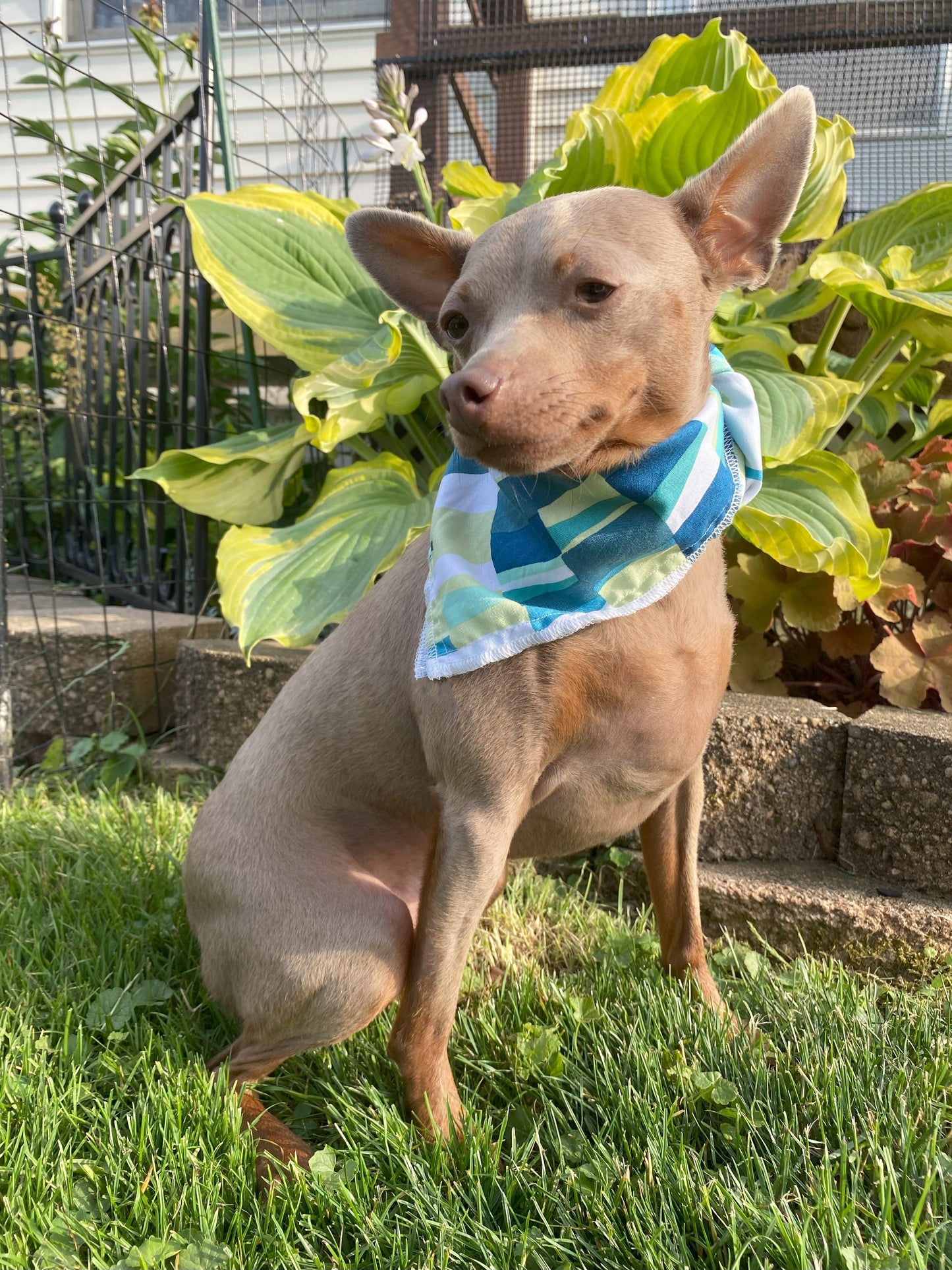 Bauhaus Blocks Bandana