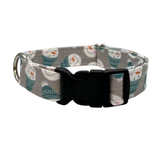 Mr. McChilly Dog Collar