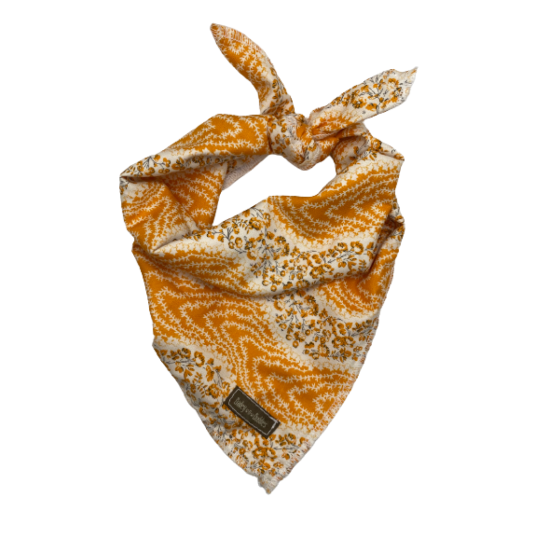 Pumpkin Patch Bandana