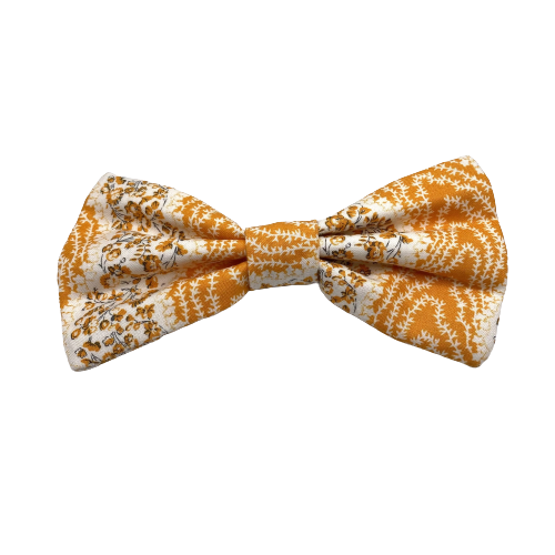 Pumpkin Patch Interchangeable Bow Tie