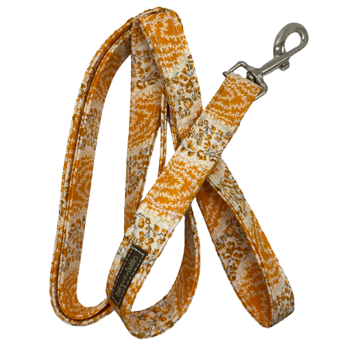 Pumpkin Patch Leash