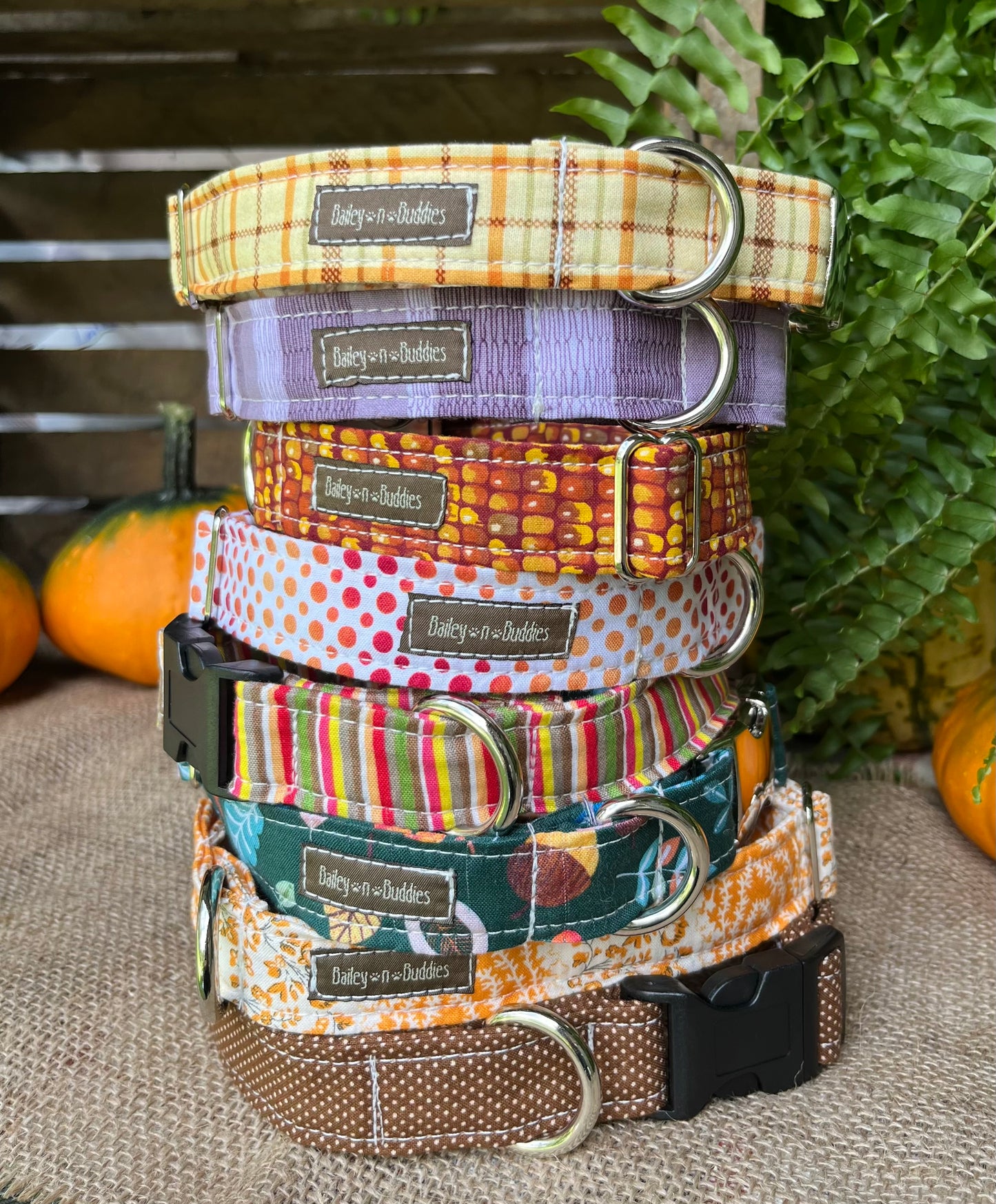 Fall Waters Dog Collar