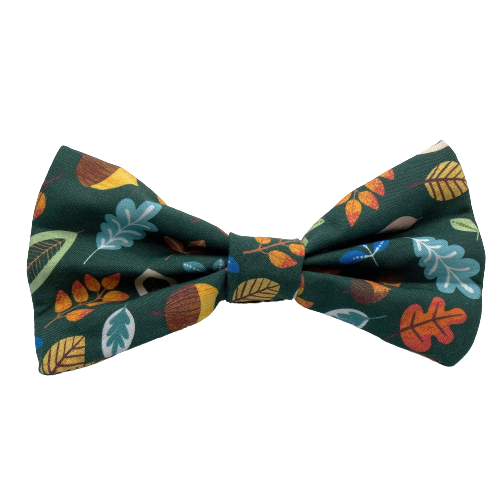 Windy Day Interchangeable Bow Tie